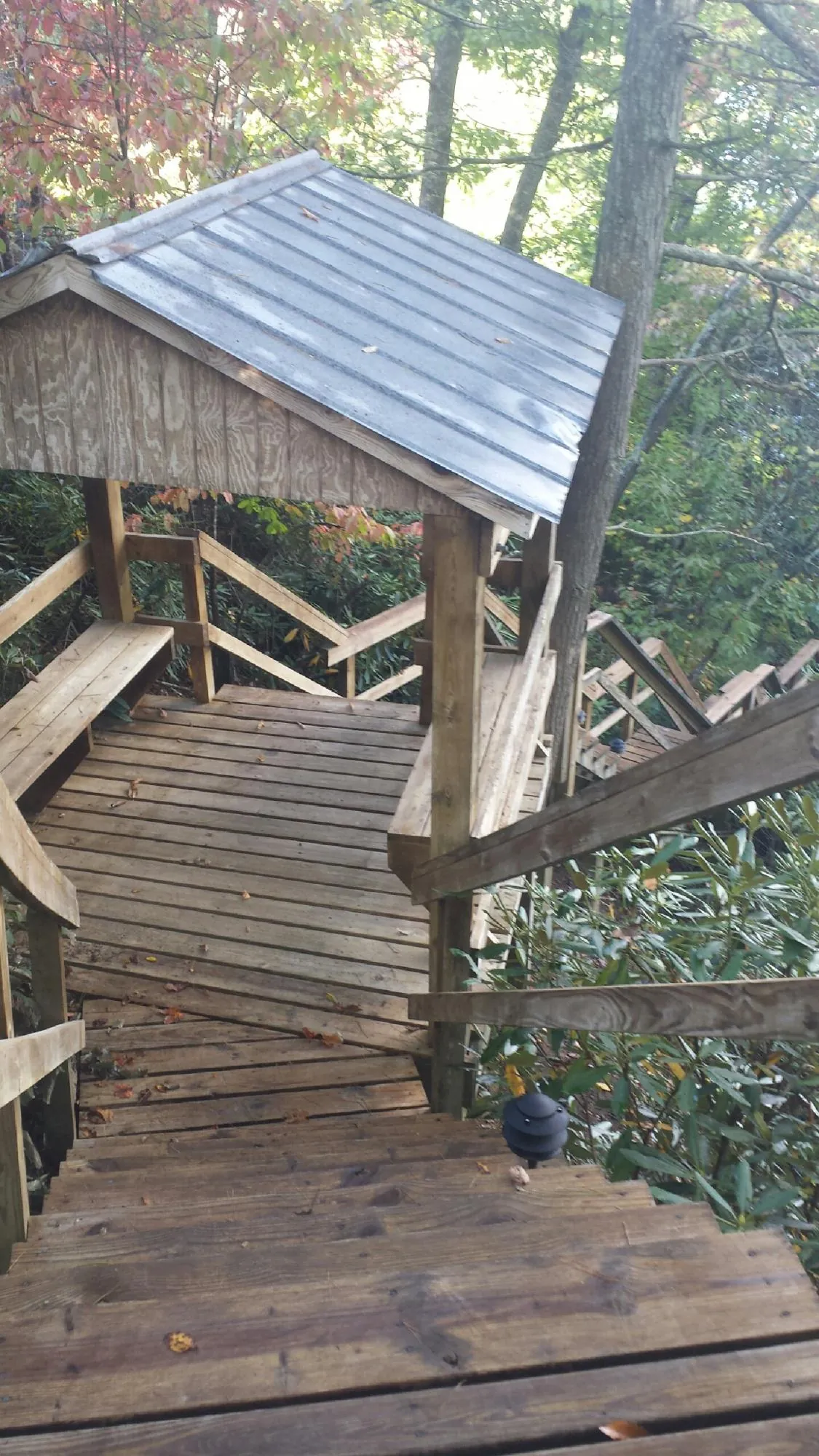 Metal roofed shelter over wooden steps on a wooded walkway — Skylight Repair & Installation work by our crew in Robersonville